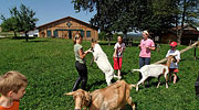 Bauernhof Urlaub Bayern